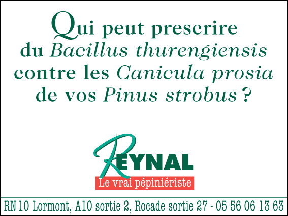 Qui peut prescrire du Bacillus thurengiensis contre les Canicula prosia de vos Pinus strobus ? Reynal, le vrai pépiniériste