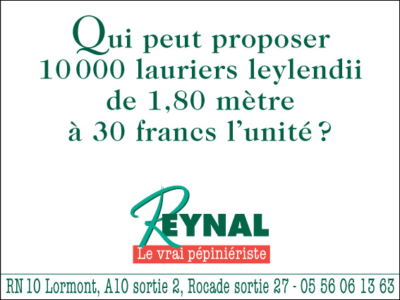 Qui peut proposer 10000 lauriers leylendii de 1,80 mètre à 30 francs l'unité ? Reynal, le vrai pépiniériste