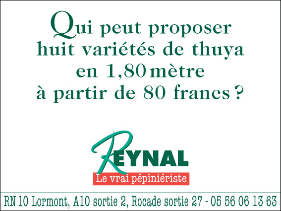 Qui peut proposer huit variétés de thuya en 1,80 mètre à partir de 80 francs ? Reynal, le vrai pépiniériste