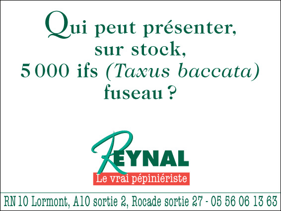Qui peut présenter, sur stock, 5000 ifs (Taxus baccata) fuseau ? Reynal, le vrai pépiniériste